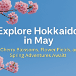"Explore Hokkaido in May – Cherry Blossoms, Flower Fields, and Spring Adventures Await! Under a blue sky with blooming pink sakura branches"
