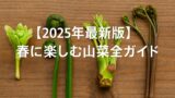 AI関連のブログ 木のテーブルに並んだふきのとう・こごみ・たらの芽・わらびの写真に、「【2025年最新版】春に楽しむ山菜完全ガイド」という白文字が重なった横長アイキャッチ画像